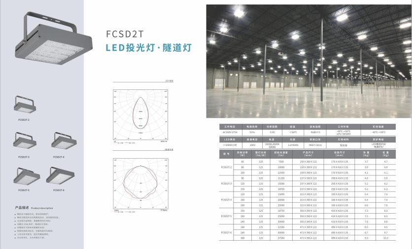青湖路街道投光灯