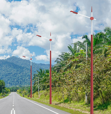 青湖路街道民族特色路灯 青湖路街道民族特色路灯